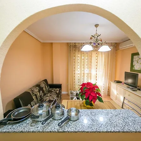 Homely Calle Apolo Appartement *