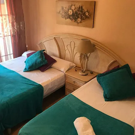 Homely Calle Apolo 托雷维耶哈